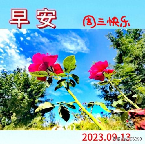 萦绕之魂怎么获得(萦绕之魂是什么意思)插图3