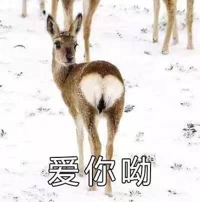 三国策略游戏(三国策略游戏推荐手游)插图15