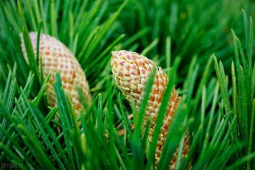 都在玩什么游戏(都在玩什么手游)插图9 都在玩什么游戏(都在玩什么手游)插图9