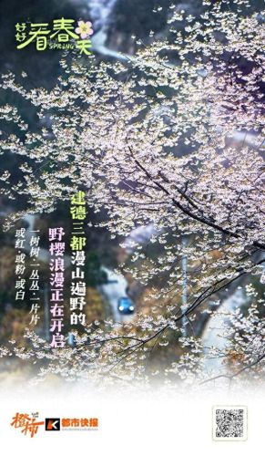 樱之路(穿越火线击杀音效)插图 樱之路(穿越火线击杀音效)插图