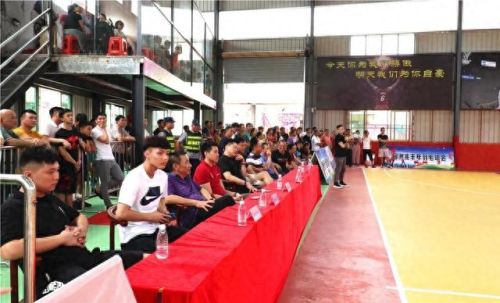 自由篮球c vip技能栏(自由篮球按键怎么改)插图8