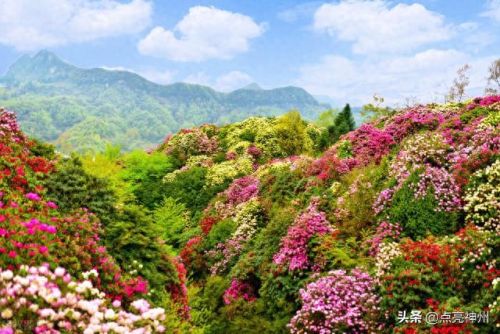 贵州旅游五大必去景点(张家界凤凰古城三日游攻略)插图12