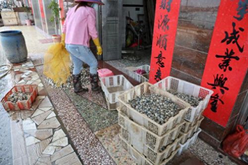 情人岛在哪里(情人岛惠州位置)插图9 情人岛在哪里(情人岛惠州位置)插图9