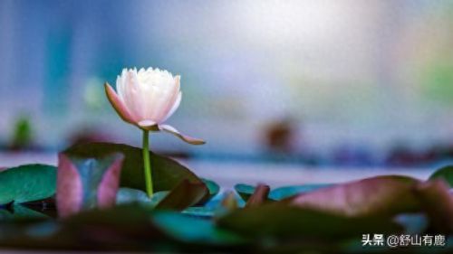 前世缘今生劫 攻略(浮世万千前世今生全攻略)插图2