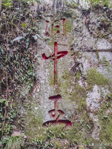 贵州旅游五大必去景点(张家界凤凰古城三日游攻略)插图18