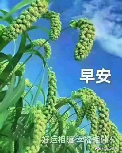 萦绕之魂怎么获得(萦绕之魂是什么意思)插图7