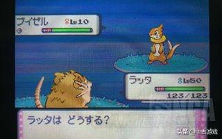 口袋妖怪叶绿金手指(叶绿金手指)插图36 口袋妖怪叶绿金手指(叶绿金手指)插图36