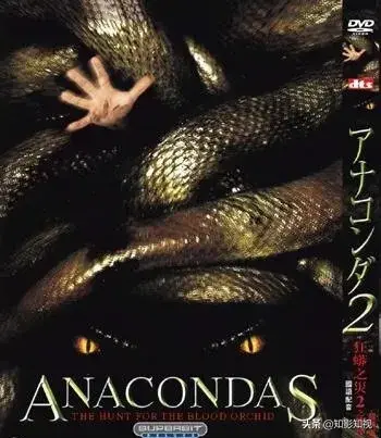 恶魔的废墟(废墟小说免费阅读)插图2 恶魔的废墟(废墟小说免费阅读)插图2