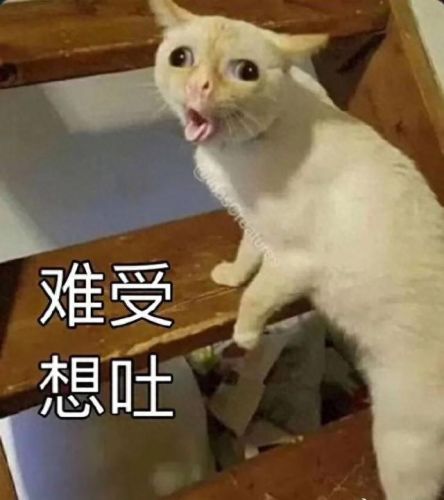 打人要打脸(打人不打脸的下一句是什么)