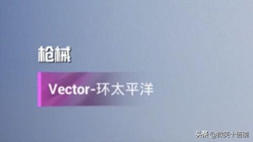 吃鸡武器图解(吃鸡武器排行列表图)插图