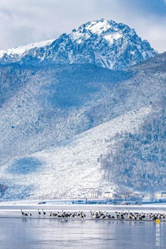 雪地地图(雪地地图防空洞位置)插图35