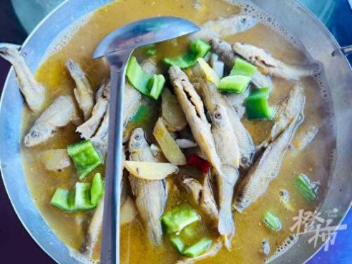 樱之路(穿越火线击杀音效)