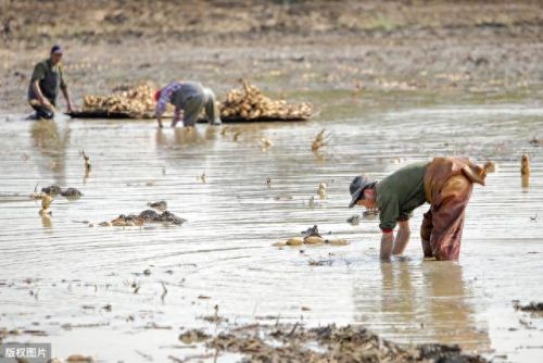 浅塘100-200图文攻略(浅塘120关图文攻略)插图6