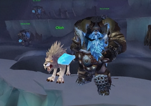 wlk 声望(怀旧服猎人必抓的三个宠物)插图5