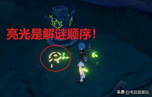 伞盖的荫蔽(伞盖是什么意思)插图6