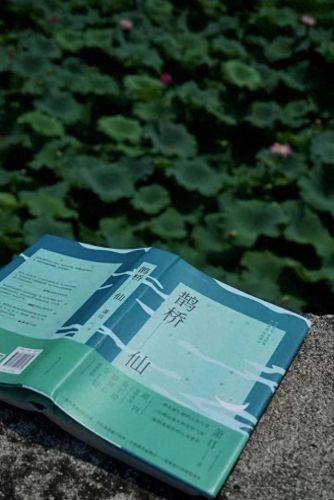 创造与魔法鹊桥仙(创造与魔法仙王)插图