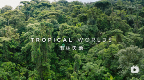 24小时免费看b站的软件苹果(晚上睡不着觉偷偷打开b站)插图7 24小时免费看b站的软件苹果(晚上睡不着觉偷偷打开b站)插图7