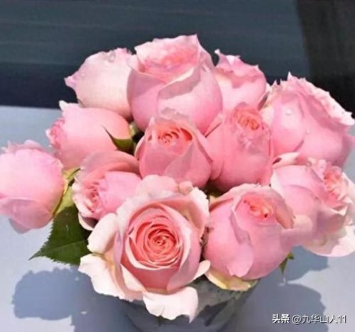 仙度瑞拉2(仙度瑞拉的逃亡刑具介绍)插图24 仙度瑞拉2(仙度瑞拉的逃亡刑具介绍)插图24