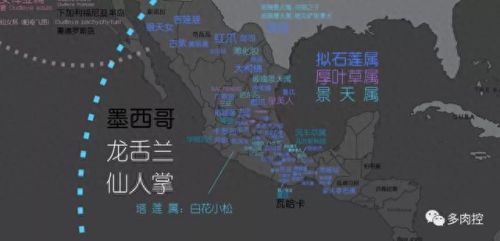 龙舌兰高原42攻略(龙舌兰高原攻略65)插图7 龙舌兰高原42攻略(龙舌兰高原攻略65)插图7