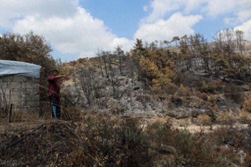 援助之手(援助之手什么意思)插图10 援助之手(援助之手什么意思)插图10