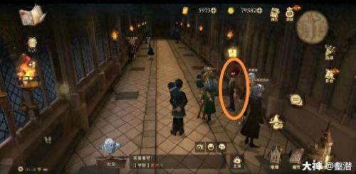 千万别给幼苗施太多龙粪(别给幼苗施太多的龙肥)插图40