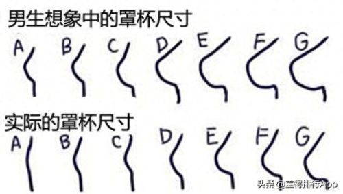 亚洲欧洲一码二码区别在哪(三叶草欧码和亚码入口)插图 亚洲欧洲一码二码区别在哪(三叶草欧码和亚码入口)插图
