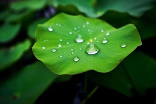 太阳西边下月亮东边挂打一字(千里相逢猜一字)插图1 太阳西边下月亮东边挂打一字(千里相逢猜一字)插图1