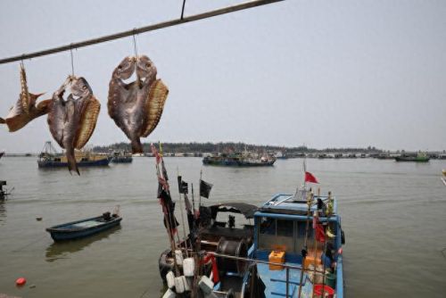 情人岛在哪里(情人岛惠州位置)插图 情人岛在哪里(情人岛惠州位置)插图