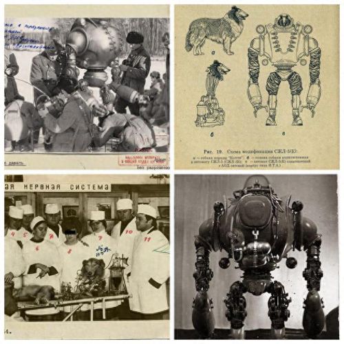 红色警戒里的武器(红色警戒中的十大武器)插图7 红色警戒里的武器(红色警戒中的十大武器)插图7