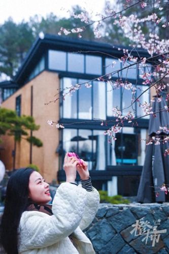 樱之路(穿越火线击杀音效)插图19 樱之路(穿越火线击杀音效)插图19