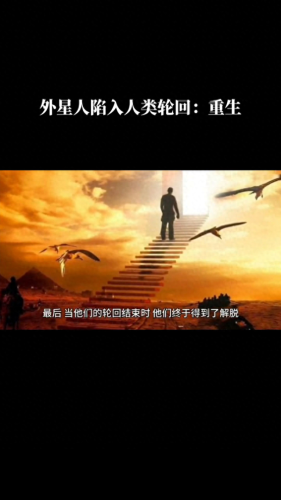 dnf智慧的引导(dnf智慧的引导在哪里)
