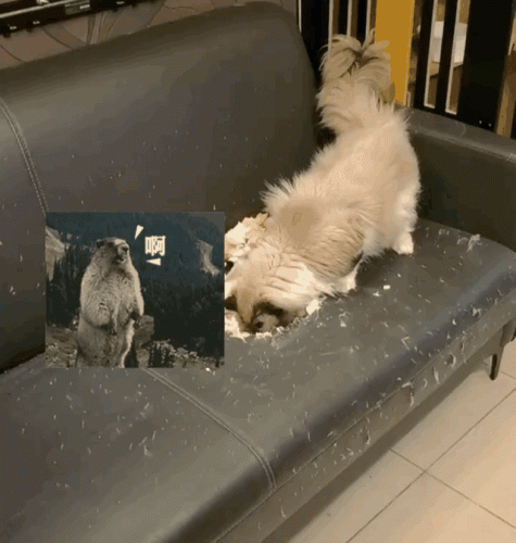 越狱禁闭攻略第七关(不可能完成的越狱第一关攻略)插图11