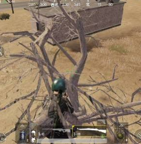 假车库上树(和平精英假车库是什么意思)插图1 假车库上树(和平精英假车库是什么意思)插图1