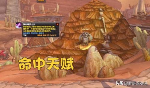 鸟德天赋(猫德天赋和输出手法)插图2