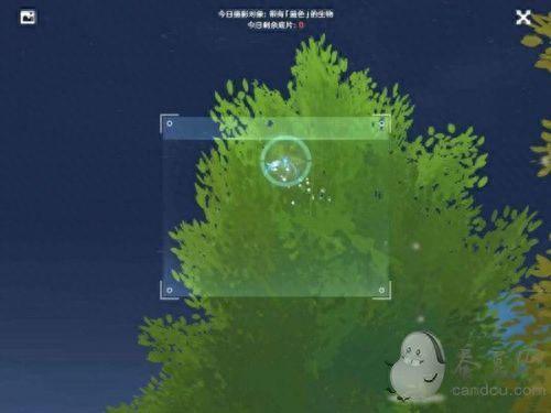 福至五彩(福至五彩紫色)插图13