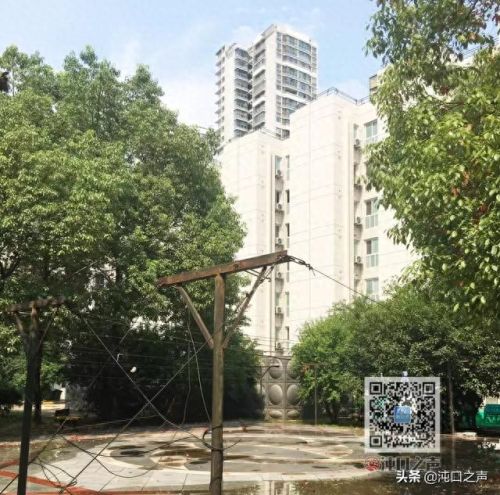 1.99神龙皓月(神龙皓月最新活动)插图13