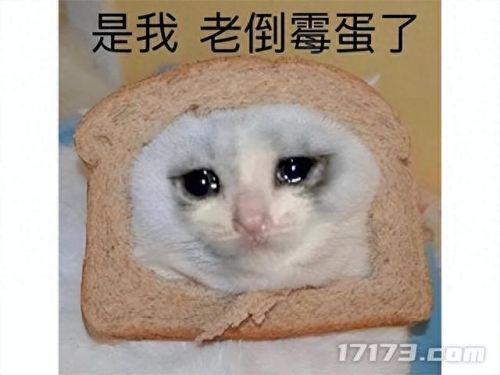 孤岛惊魂3如何切换武器6(孤岛惊魂3里怎么开武器槽)插图19