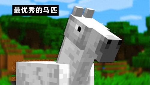 我的世界马(我的世界马厩教程)插图4