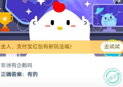 在芝麻信用买了飞猪酒店的信用住后(飞猪信用额度套出来可以分几期)插图1