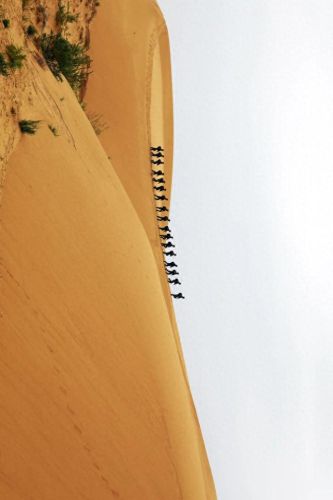 剑三黑戈壁装备 精炼(剑三精炼装备攻略)插图4 剑三黑戈壁装备 精炼(剑三精炼装备攻略)插图4