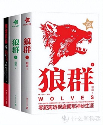 什么小说好看啊(晋江十大公认最好看言情的小说)