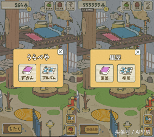 去旅行蛙攻略(青蛙与佛系旅游攻略)插图16