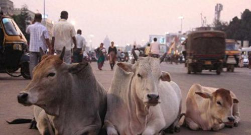 亚洲是图50(亚洲地图2060)插图2