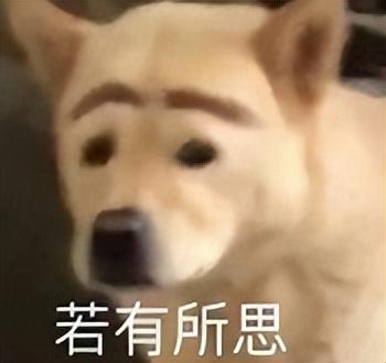 中英互译软件(缅中互译在线翻译软件)插图 中英互译软件(缅中互译在线翻译软件)插图