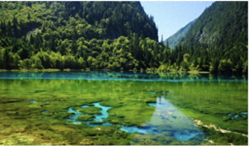 灾难装备图(灾难装备必买清单)插图12