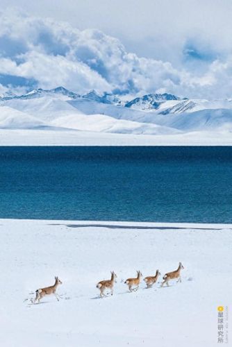 雪地地图(雪地地图防空洞位置)插图28