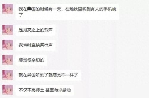 玫瑰版本传奇(专属版本传奇)插图18