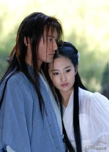 神雕之剑侠情缘(神雕孤岛情缘后续小说)