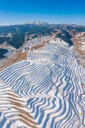 雪地地图(雪地地图防空洞位置)插图40