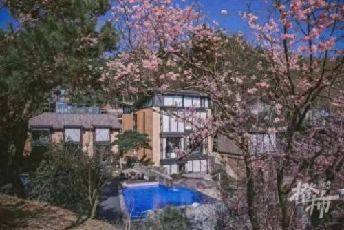 樱之路(穿越火线击杀音效)插图41 樱之路(穿越火线击杀音效)插图41